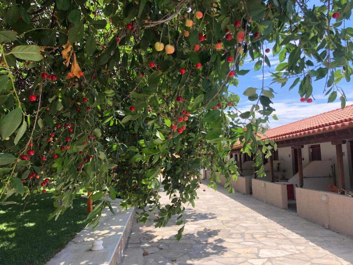 Gregory'S Village Plati (Limnos) Exterior foto